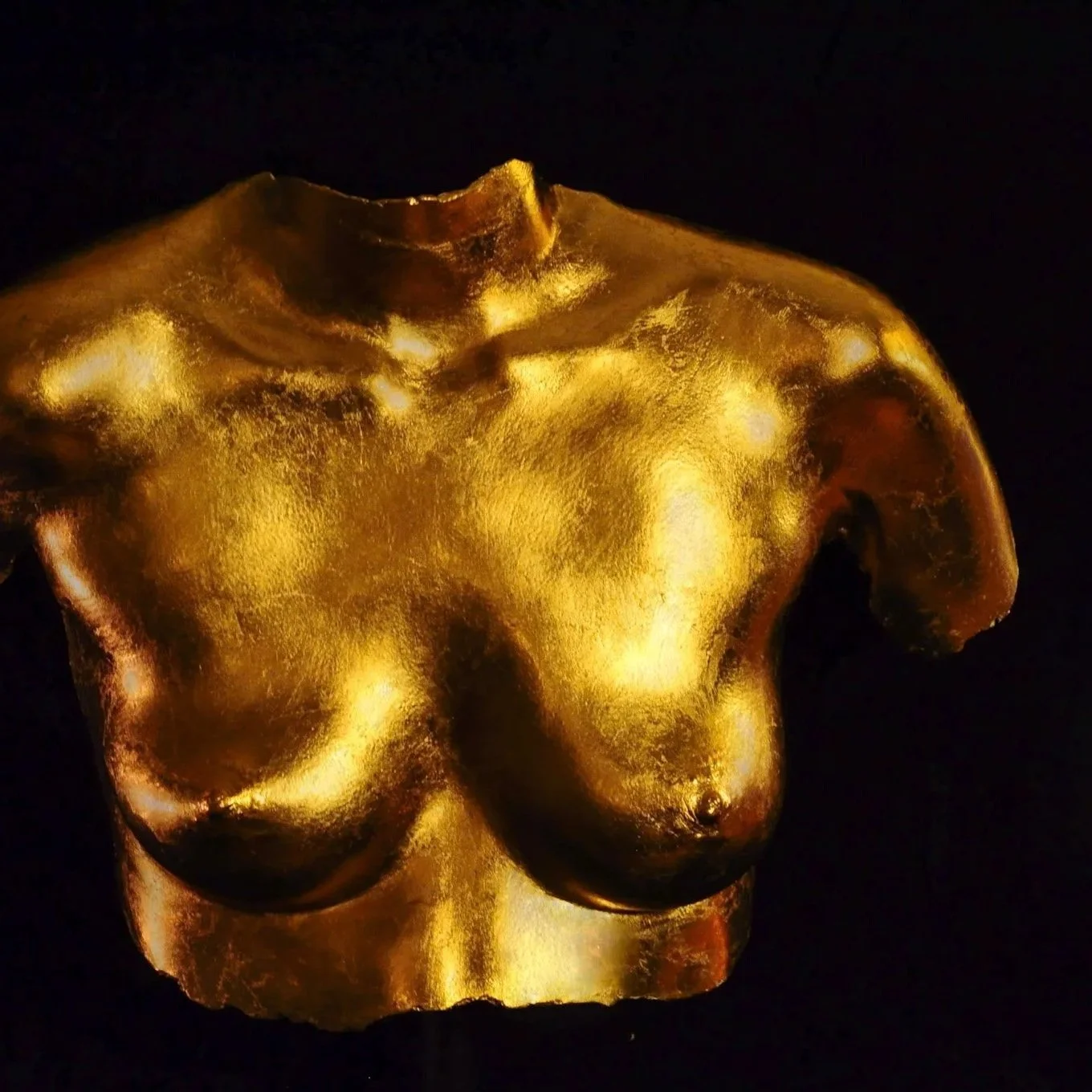 upper torso