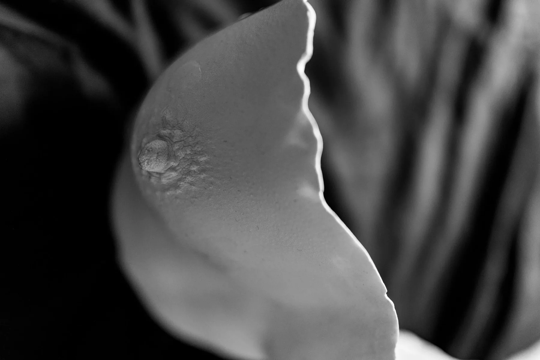 PenPreview-27.jpg